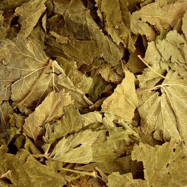 Cassis Feuilles Bio 30 g *